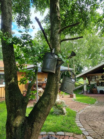 Alte Zinkgießkannen hängen im Baum, dahinter der Hofweg